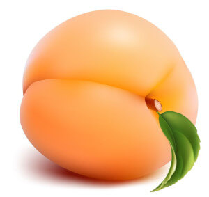 abricot